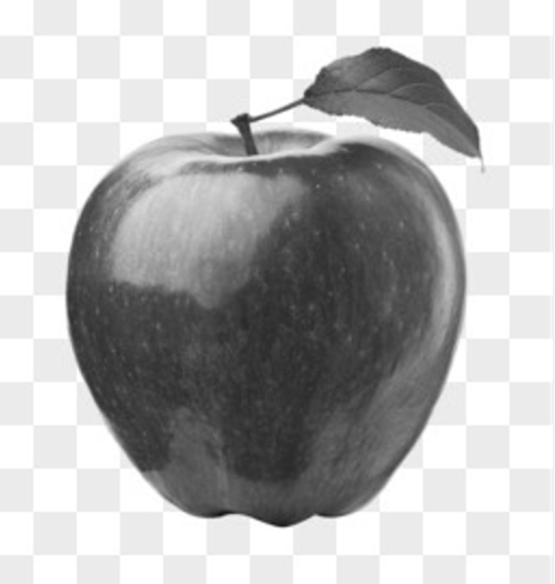 QQ20240908194701.png